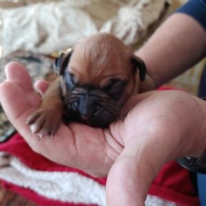 Meet your Posher, Judy